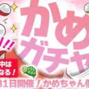 ヒメ日記 2025/08/29 01:10 投稿 かめ 奴隷コレクション
