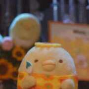 ヒメ日記 2025/08/30 11:23 投稿 かめ 奴隷コレクション