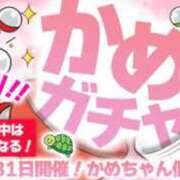 ヒメ日記 2025/08/31 11:19 投稿 かめ 奴隷コレクション