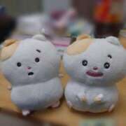 ヒメ日記 2025/11/22 20:44 投稿 かめ 奴隷コレクション