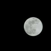 ヒメ日記 2026/01/03 21:37 投稿 かめ 奴隷コレクション