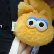 ヒメ日記 2026/01/24 20:18 投稿 かめ 奴隷コレクション