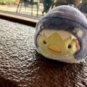 ヒメ日記 2026/02/20 03:30 投稿 かめ 奴隷コレクション