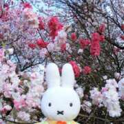 ヒメ日記 2026/04/14 15:09 投稿 かめ 奴隷コレクション