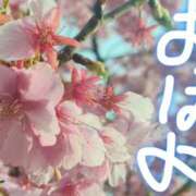 ヒメ日記 2026/03/01 06:50 投稿 ひなた もしも素敵な妻が指輪をはずしたら・・・