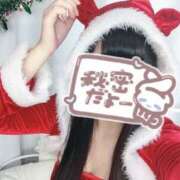 ヒメ日記 2024/12/20 16:51 投稿 あいり 石庭