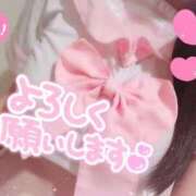 ヒメ日記 2026/06/06 18:22 投稿 あいり 石庭