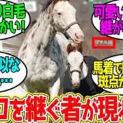 ヒメ日記 2026/09/14 19:40 投稿 今井あいさ Mの世界