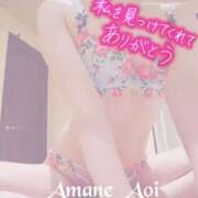 ヒメ日記 2025/04/08 13:03 投稿 天音　あおい 三ツ星Class