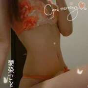 ヒメ日記 2025/05/08 10:57 投稿 愛染　こと 三ツ星Class