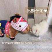 ヒメ日記 2026/01/31 10:27 投稿 愛染　こと 三ツ星Class