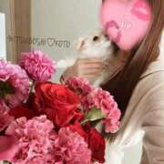 ヒメ日記 2026/02/28 22:42 投稿 愛染　こと 三ツ星Class