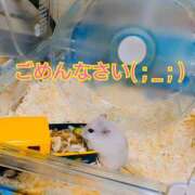 ヒメ日記 2026/05/26 13:18 投稿 鏡　あんな 三ツ星Class