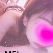 ヒメ日記 2025/02/05 18:34 投稿 橘　めい 三ツ星Class