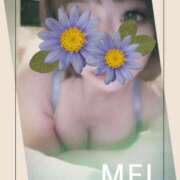 ヒメ日記 2025/04/02 15:03 投稿 橘　めい 三ツ星Class