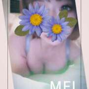 ヒメ日記 2025/04/14 17:33 投稿 橘　めい 三ツ星Class