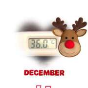 ヒメ日記 2024/12/07 09:00 投稿 ゆきな 石庭