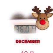 ヒメ日記 2024/12/10 09:03 投稿 ゆきな 石庭