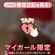 ヒメ日記 2024/12/12 22:46 投稿 ゆきな 石庭