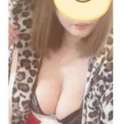 ヒメ日記 2024/12/13 07:23 投稿 ゆきな 石庭