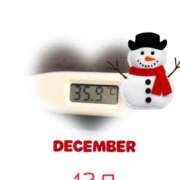 ヒメ日記 2024/12/13 09:02 投稿 ゆきな 石庭