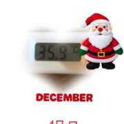 ヒメ日記 2024/12/17 09:01 投稿 ゆきな 石庭