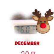 ヒメ日記 2024/12/20 09:09 投稿 ゆきな 石庭