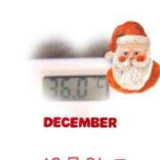 ヒメ日記 2024/12/24 09:11 投稿 ゆきな 石庭