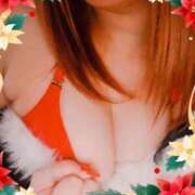 ヒメ日記 2024/12/24 12:18 投稿 ゆきな 石庭