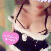 ヒメ日記 2024/12/25 05:49 投稿 ゆきな 石庭