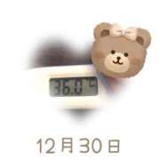 ヒメ日記 2024/12/30 09:01 投稿 ゆきな 石庭