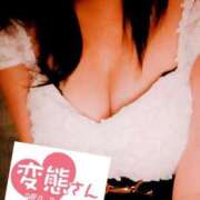 ヒメ日記 2025/01/06 06:34 投稿 ゆきな 石庭