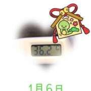 ヒメ日記 2025/01/06 09:08 投稿 ゆきな 石庭