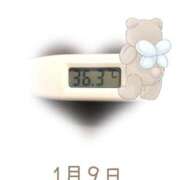 ヒメ日記 2025/01/09 09:06 投稿 ゆきな 石庭