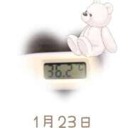 ヒメ日記 2025/01/23 09:05 投稿 ゆきな 石庭