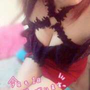 ヒメ日記 2025/01/27 06:14 投稿 ゆきな 石庭