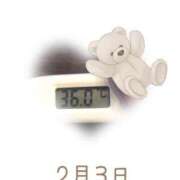 ヒメ日記 2025/02/03 09:07 投稿 ゆきな 石庭