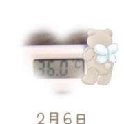 ヒメ日記 2025/02/06 09:11 投稿 ゆきな 石庭