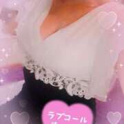 ヒメ日記 2025/02/07 06:32 投稿 ゆきな 石庭