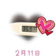 ヒメ日記 2025/02/11 09:06 投稿 ゆきな 石庭