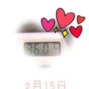 ヒメ日記 2025/02/15 09:04 投稿 ゆきな 石庭