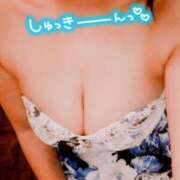 ヒメ日記 2025/02/17 08:34 投稿 ゆきな 石庭