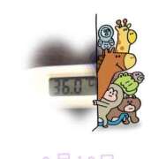 ヒメ日記 2025/02/17 09:14 投稿 ゆきな 石庭