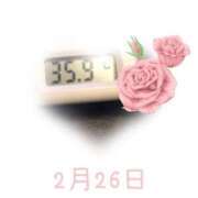 ヒメ日記 2025/02/26 09:14 投稿 ゆきな 石庭