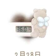 ヒメ日記 2025/02/28 09:04 投稿 ゆきな 石庭