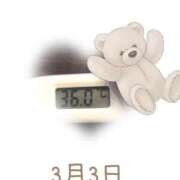 ヒメ日記 2025/03/03 09:10 投稿 ゆきな 石庭