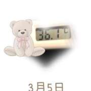 ヒメ日記 2025/03/05 09:01 投稿 ゆきな 石庭