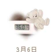 ヒメ日記 2025/03/06 09:00 投稿 ゆきな 石庭