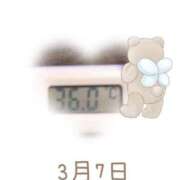 ヒメ日記 2025/03/07 09:00 投稿 ゆきな 石庭