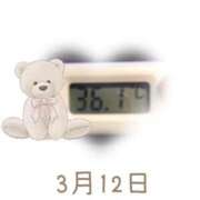 ヒメ日記 2025/03/12 09:01 投稿 ゆきな 石庭